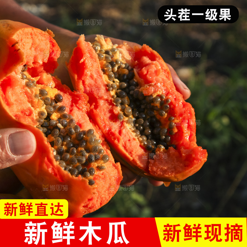 树上的木瓜