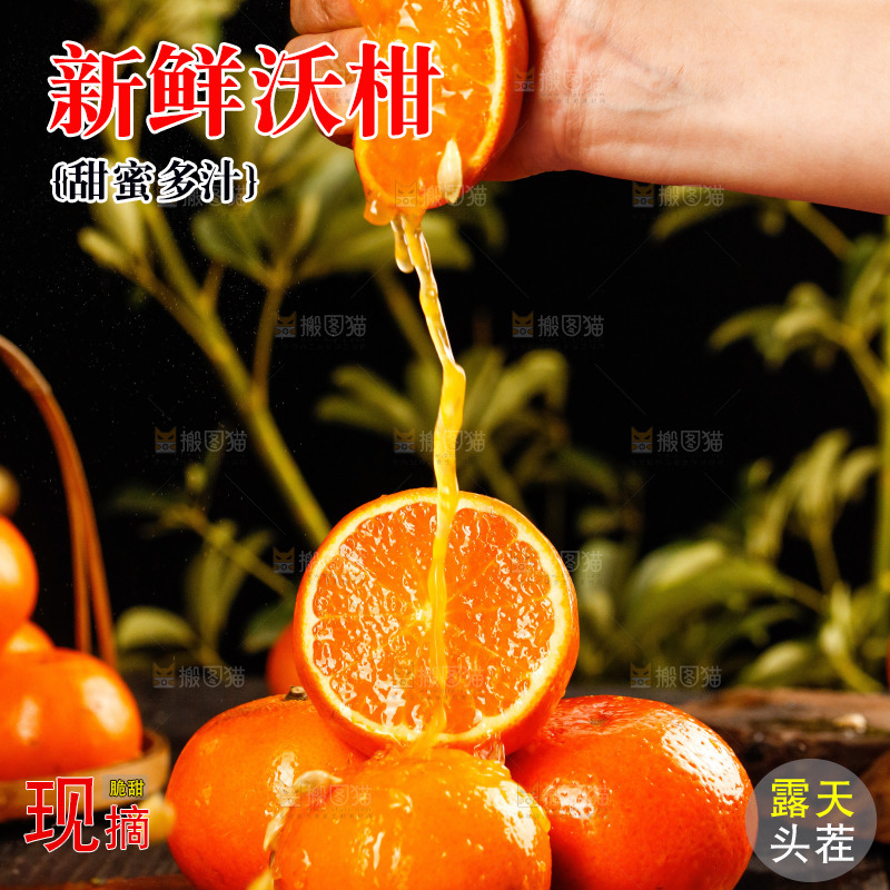 深底上的沃柑