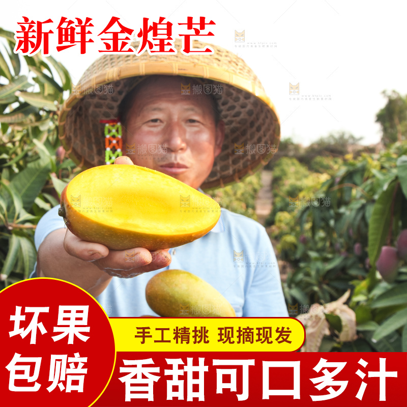 手里拿着金煌芒