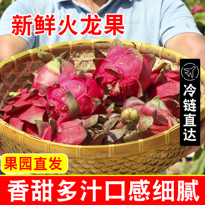 火龙果产地