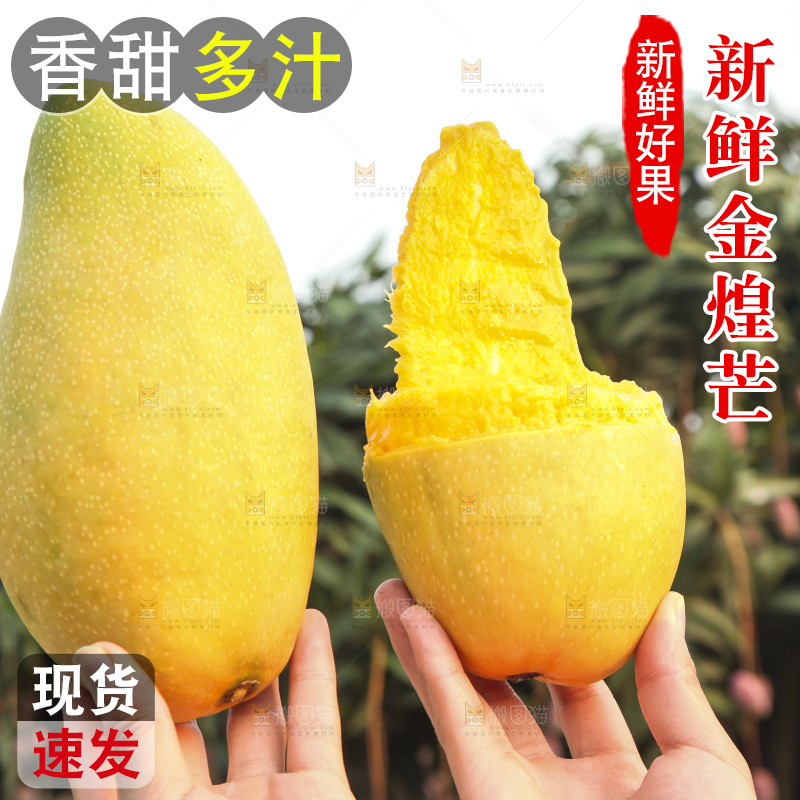 手里拿着金煌芒