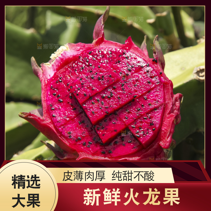 火龙果产地