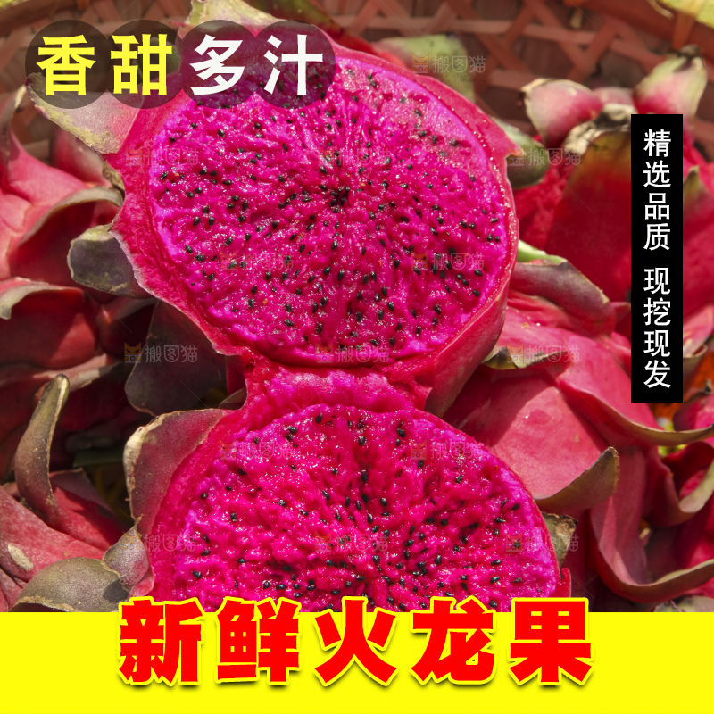 火龙果产地