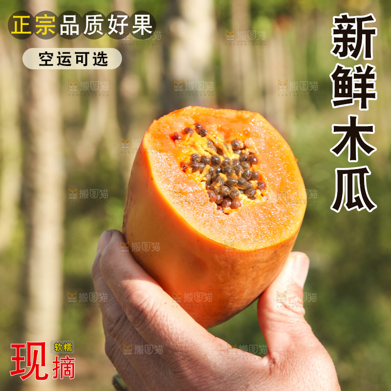 树上的木瓜