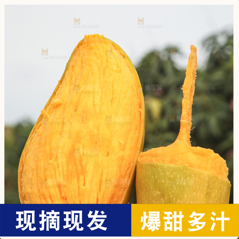 手里拿着金煌芒