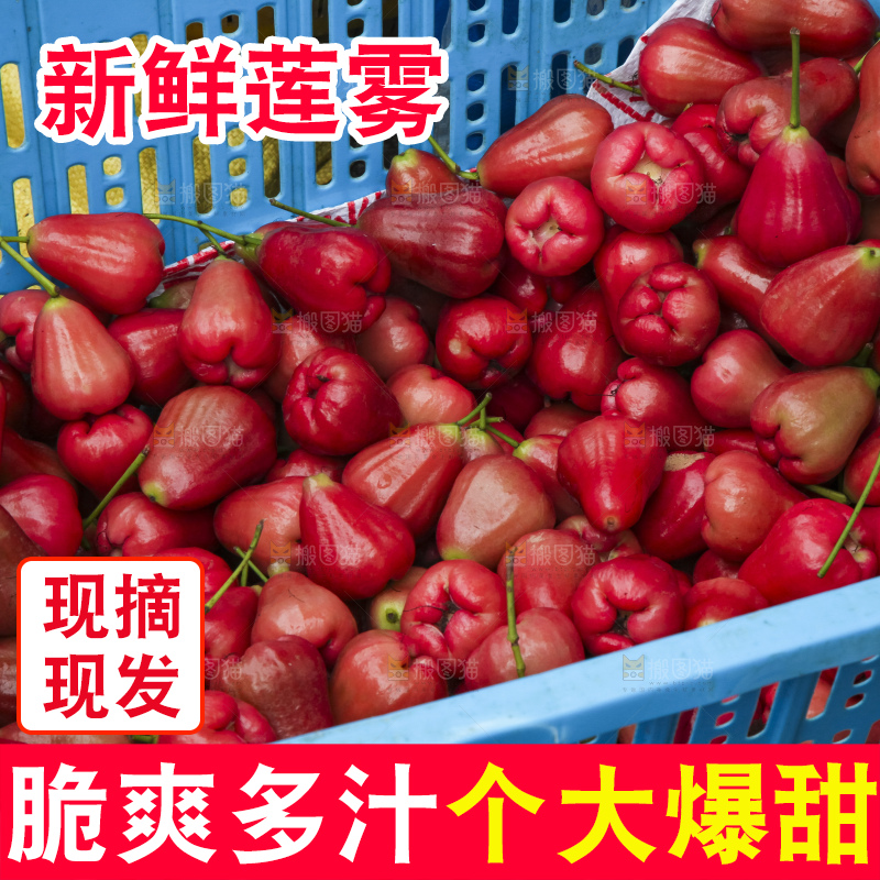 树上的新鲜莲雾