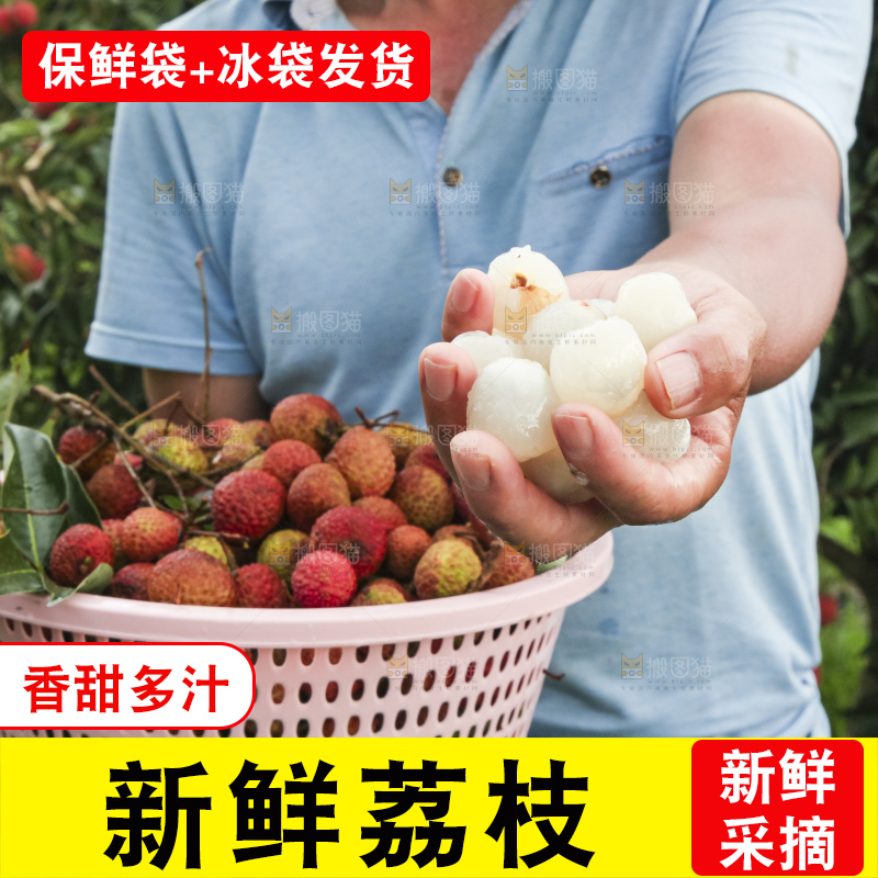 树上的荔枝