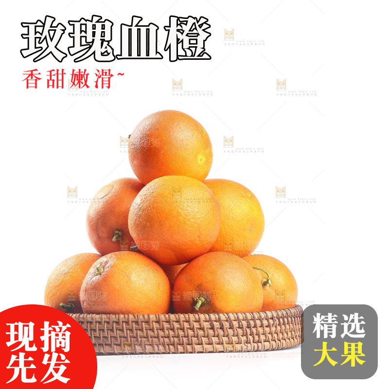 白底上的玫瑰血橙