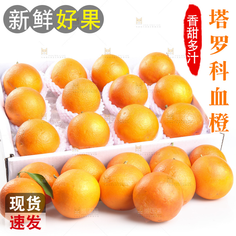 白底上的玫瑰血橙