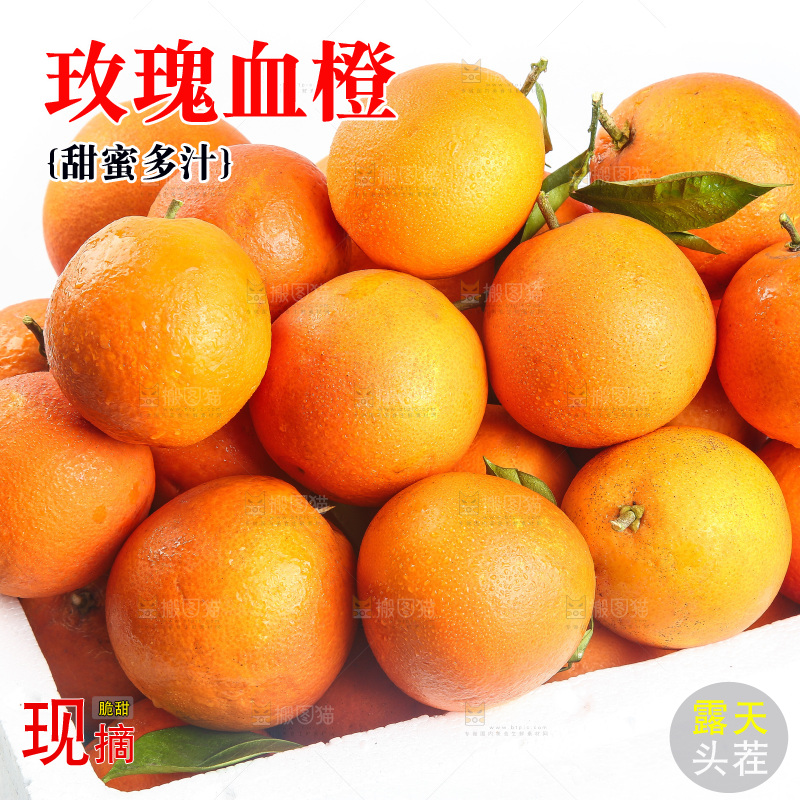 白底上的玫瑰血橙