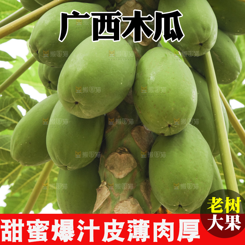 树上的木瓜