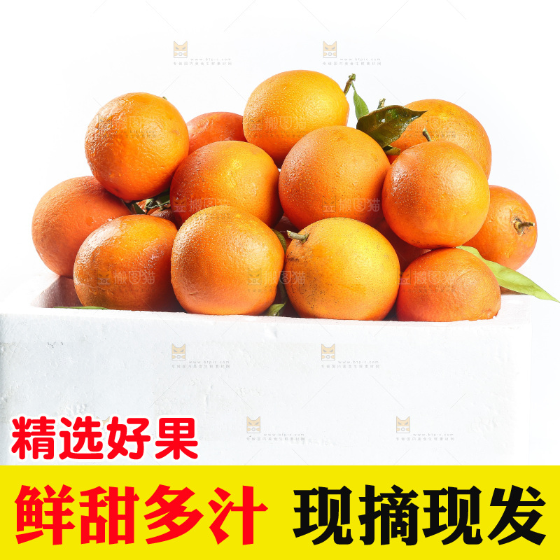 白底上的玫瑰血橙