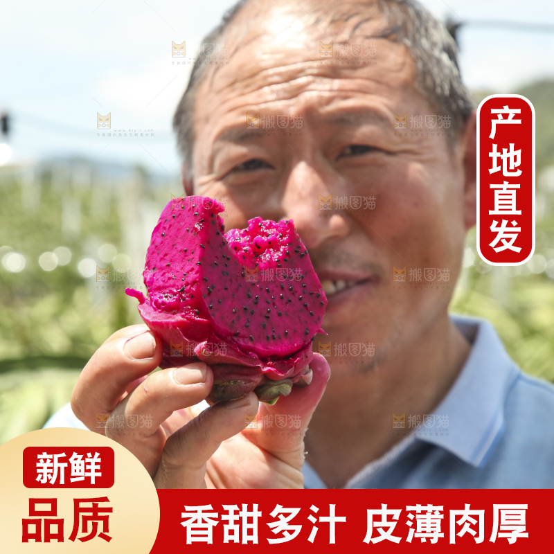 火龙果产地