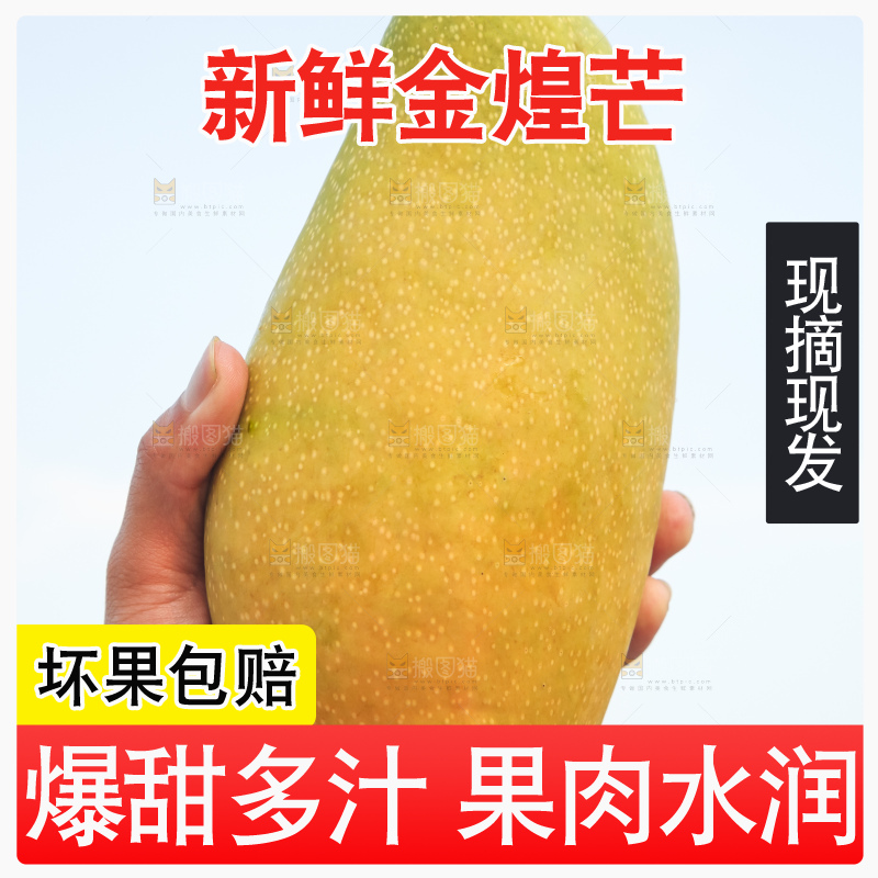 手里拿着金煌芒