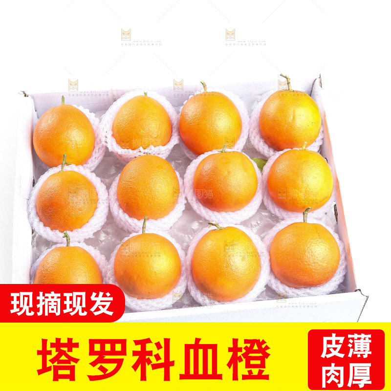 白底上的玫瑰血橙