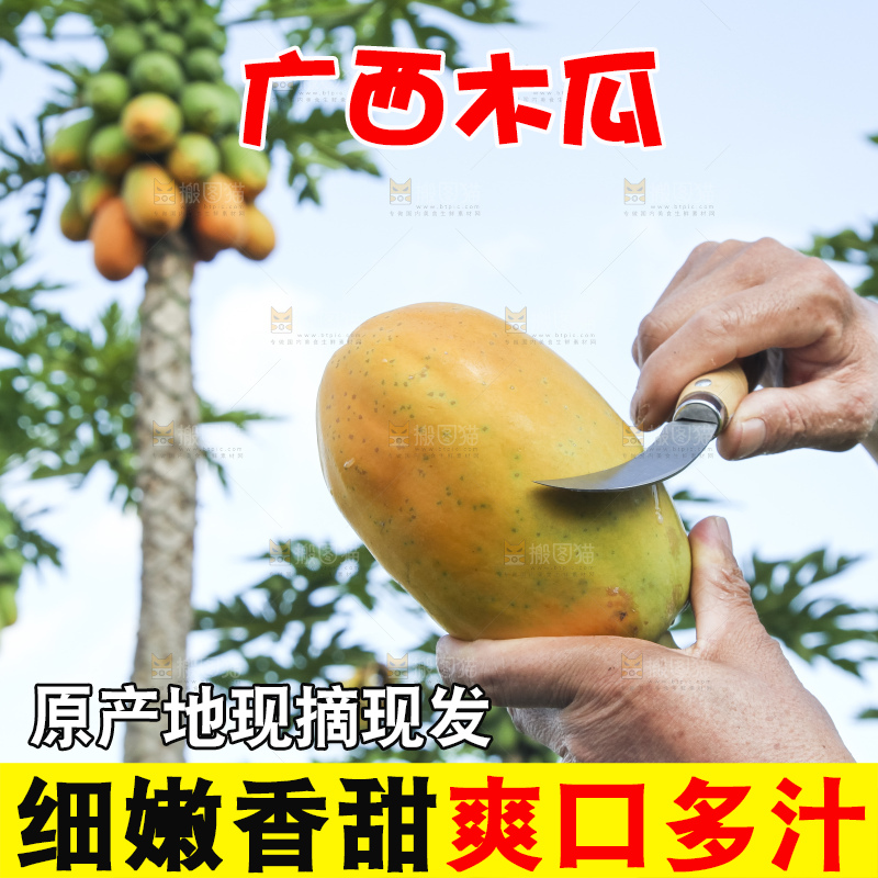 树上的木瓜