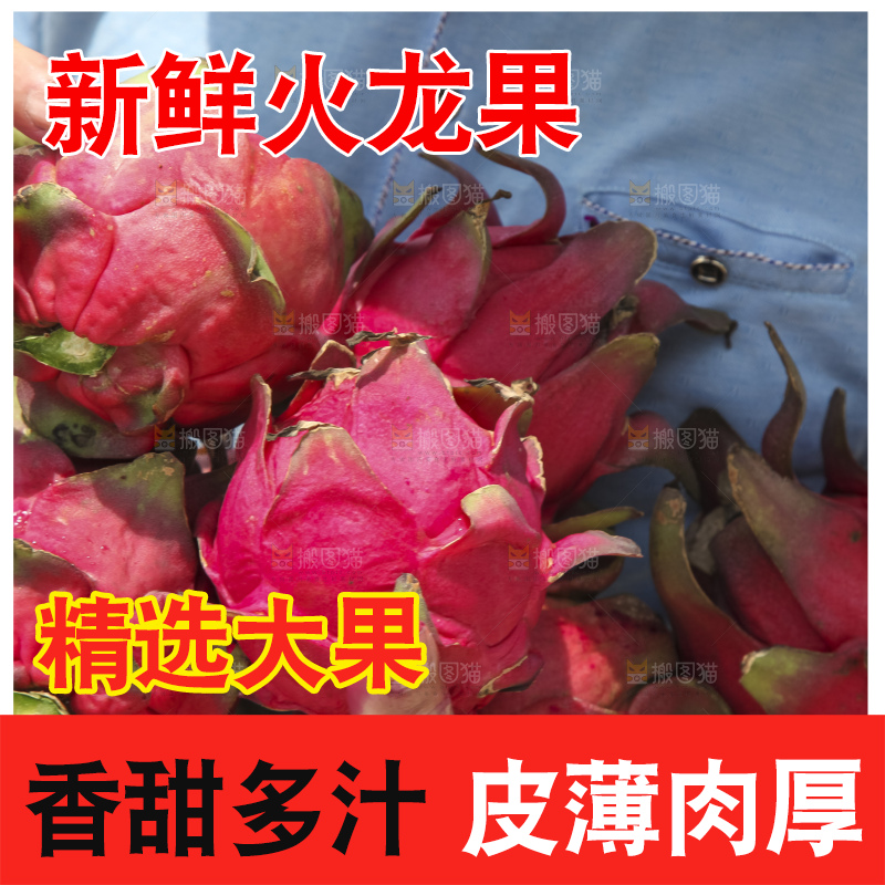 火龙果产地