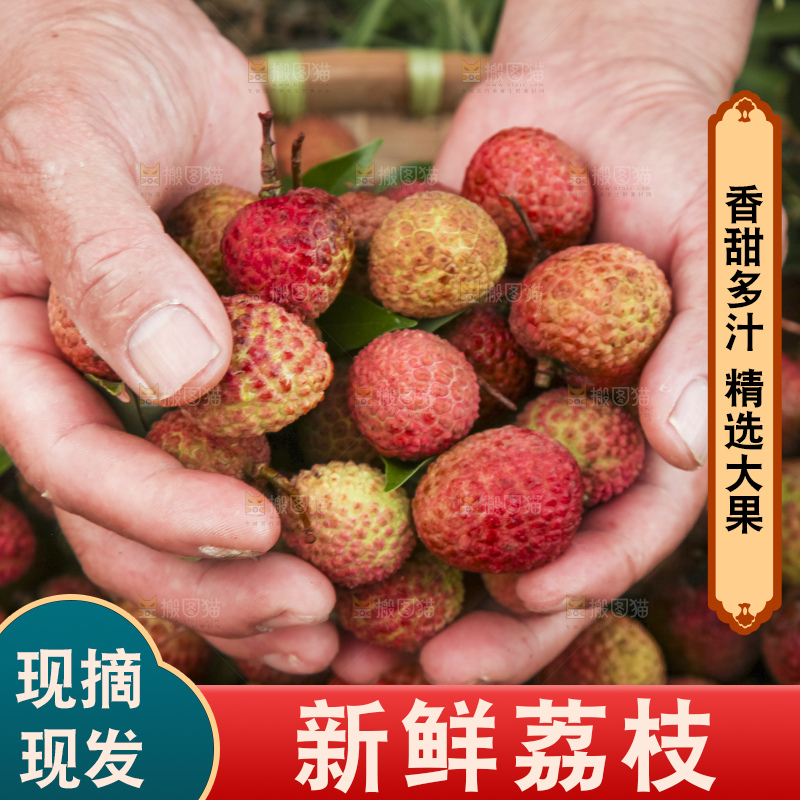 树上的荔枝