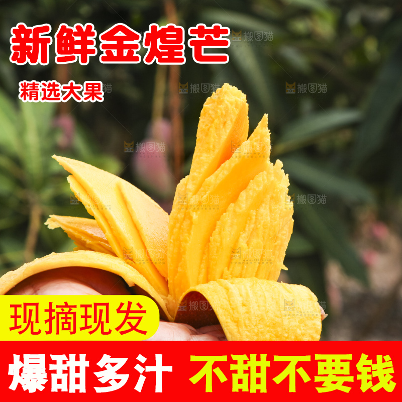 手里拿着金煌芒