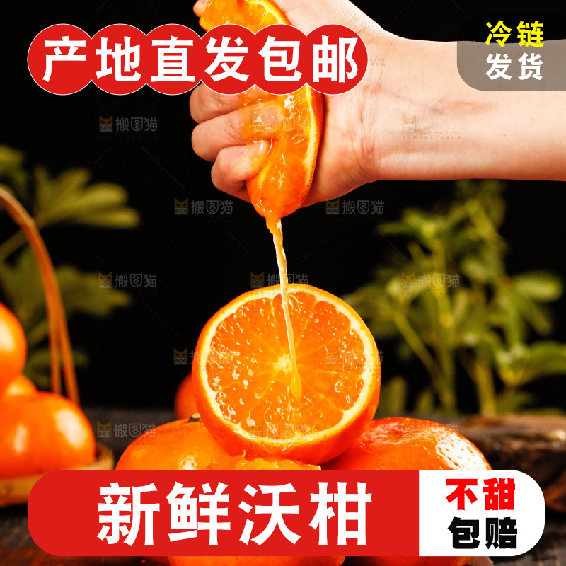 深底上的沃柑