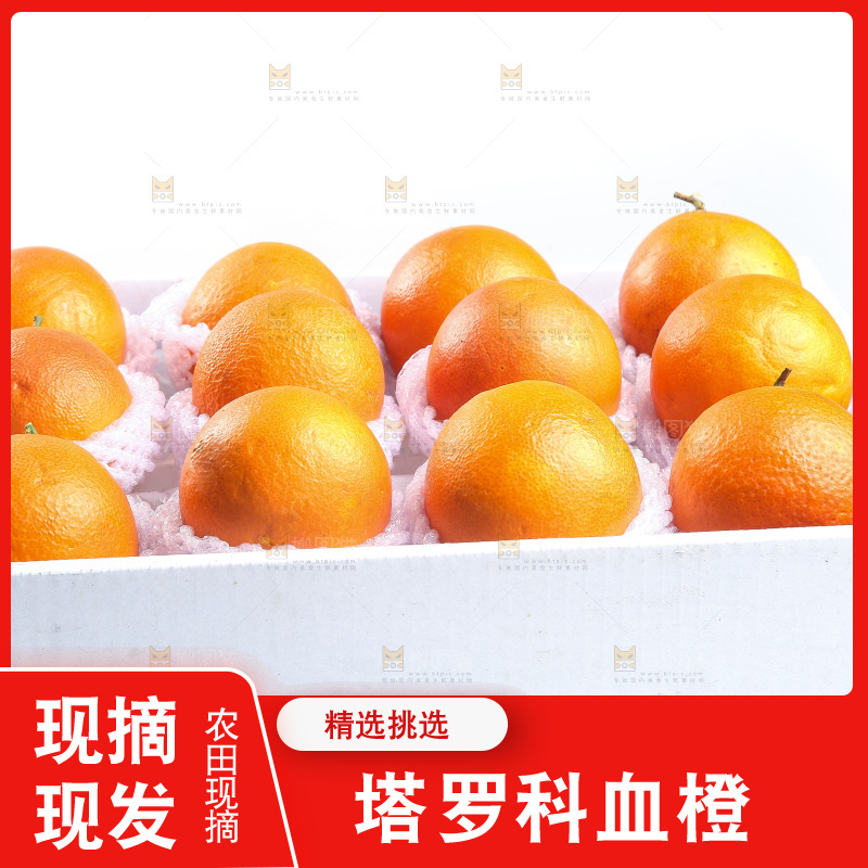 白底上的玫瑰血橙