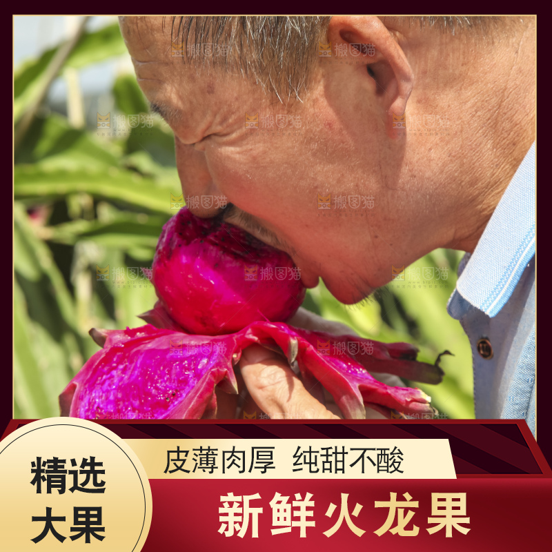 火龙果产地