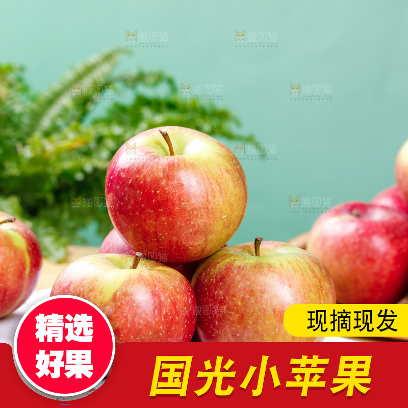 浅底上的国光苹果