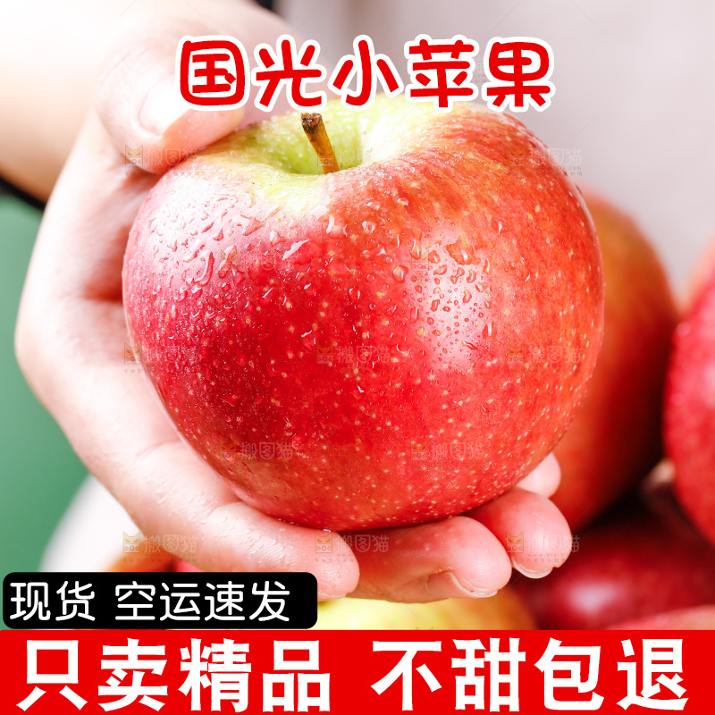 浅底上的国光苹果