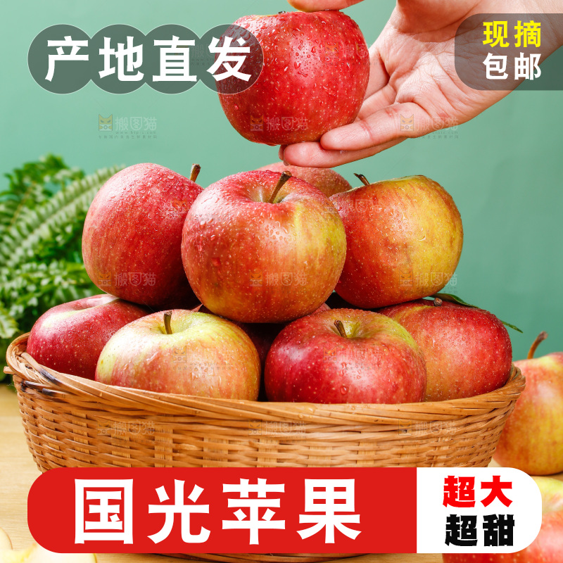 浅底上的国光苹果