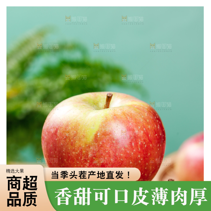 浅底上的国光苹果