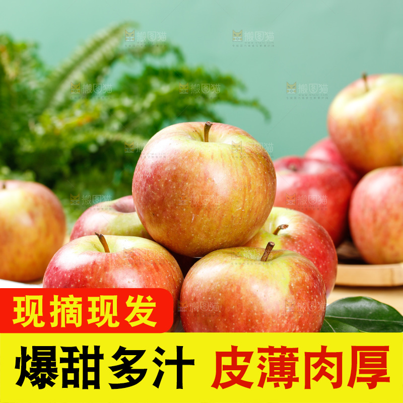 浅底上的国光苹果