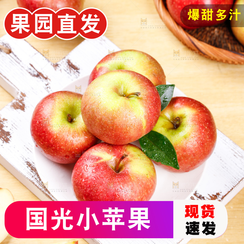 浅底上的国光苹果