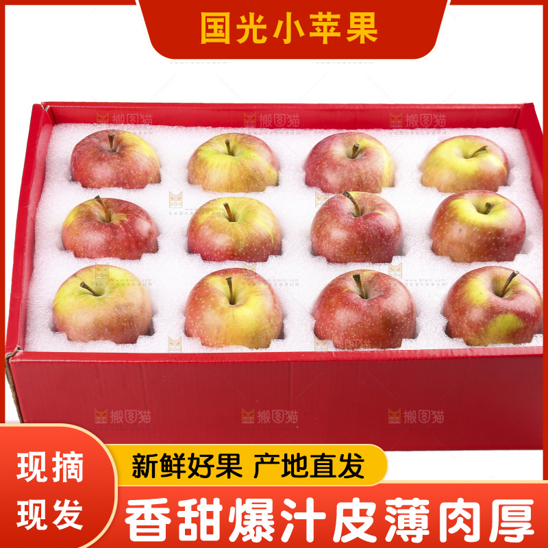 白底上的国光苹果