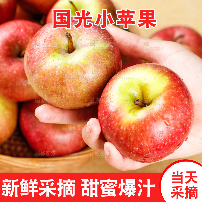 浅底上的国光苹果