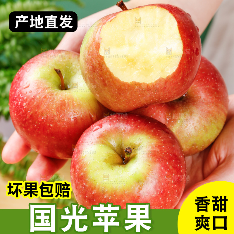 浅底上的国光苹果