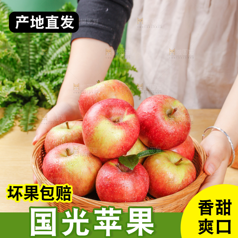 浅底上的国光苹果
