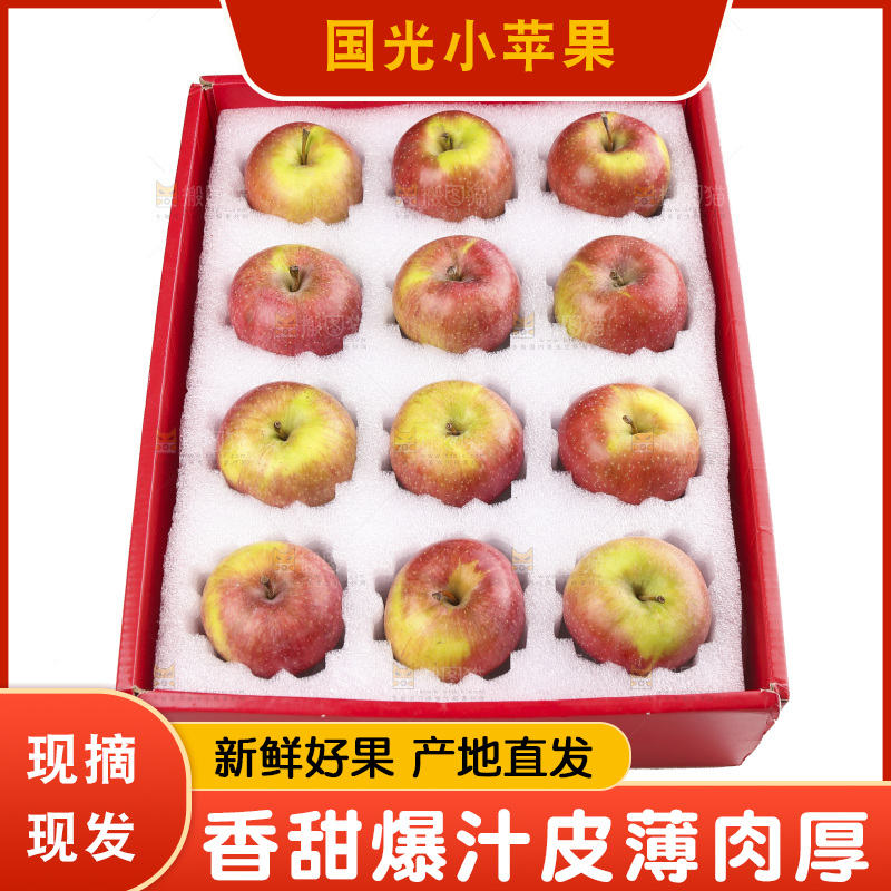白底上的国光苹果