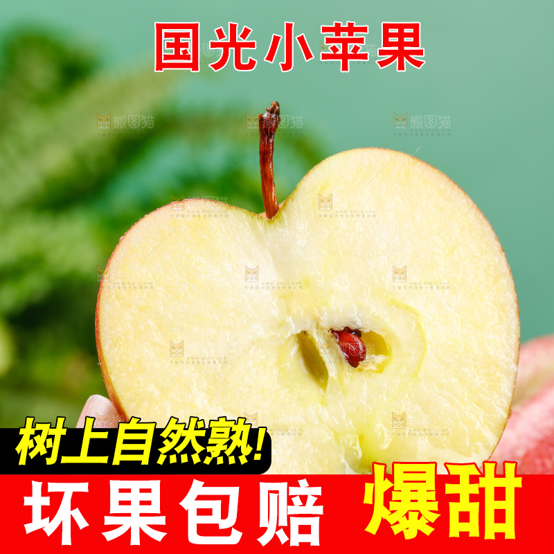 浅底上的国光苹果