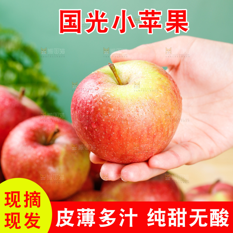 浅底上的国光苹果