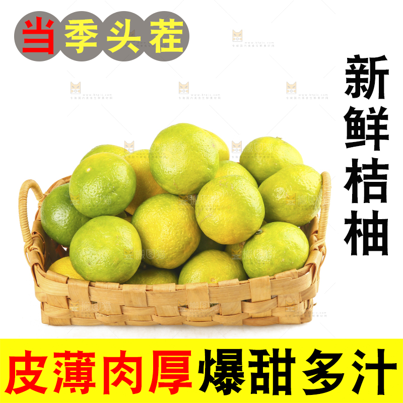 白底上的桔柚
