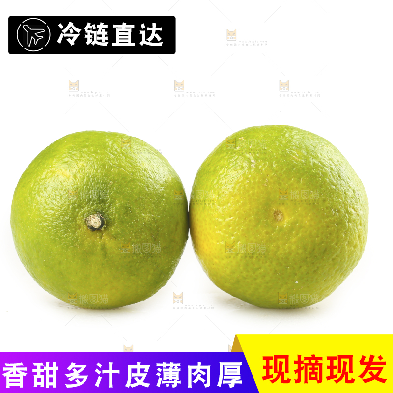 白底上的桔柚