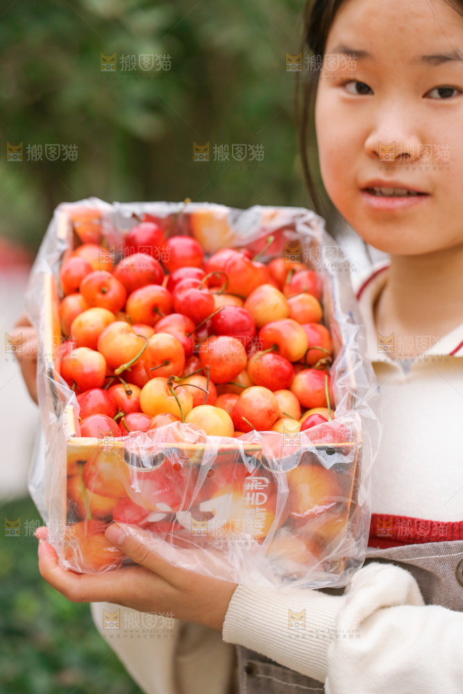 手里拿着黄金车厘子