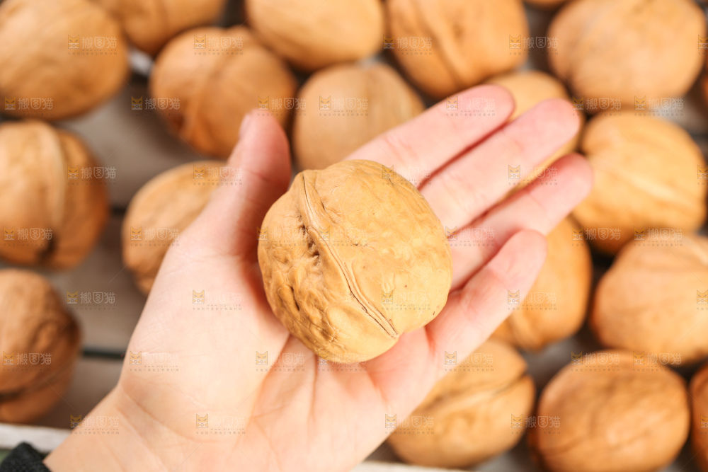 手里拿着核桃