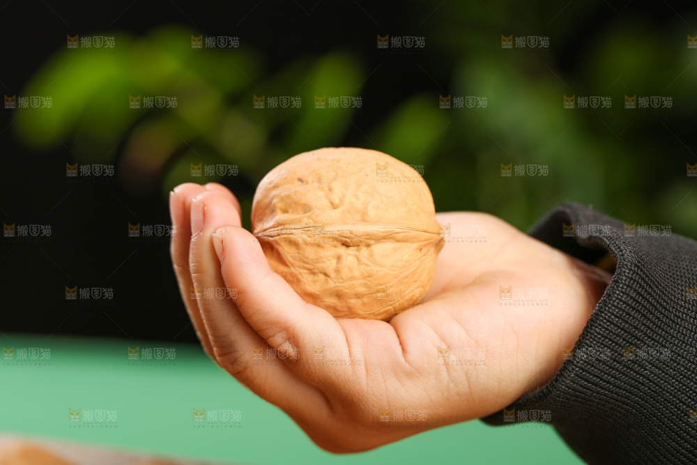 手里拿着核桃