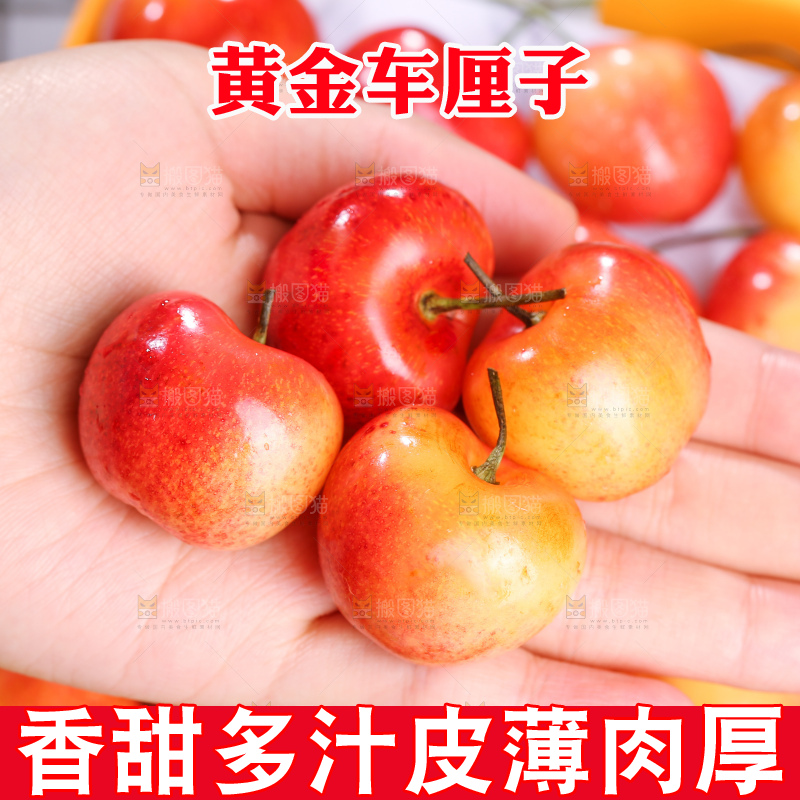 深底上的黄金车厘子