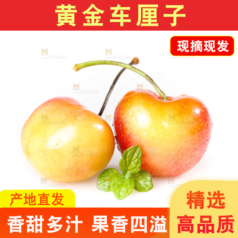 白底上的黄金车厘子