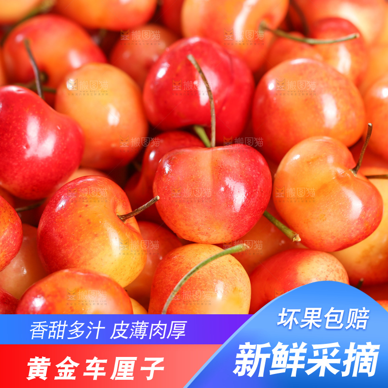 深底上的黄金车厘子