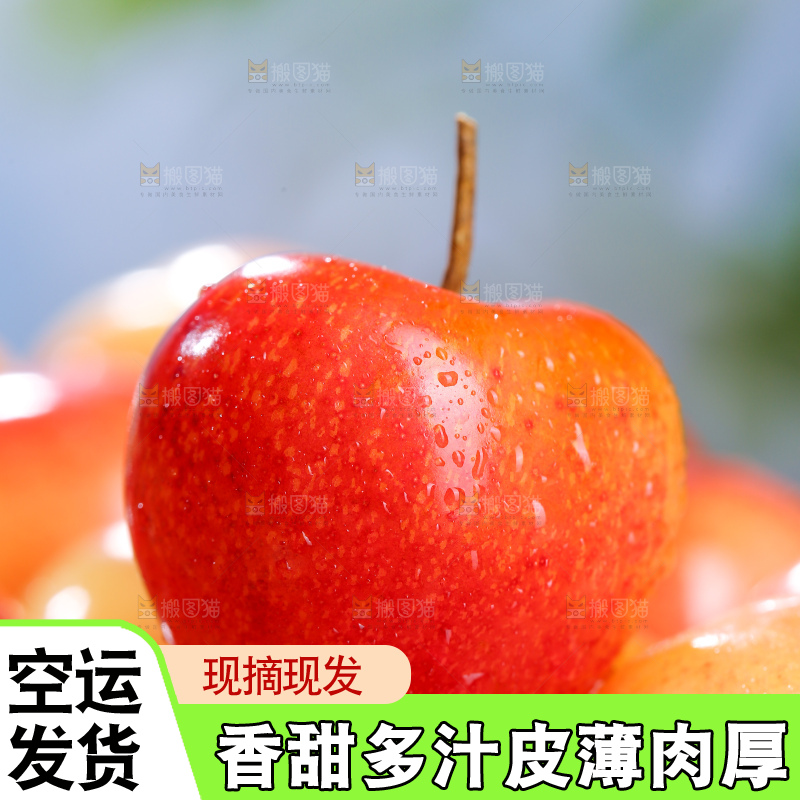 浅底上的黄金车厘子
