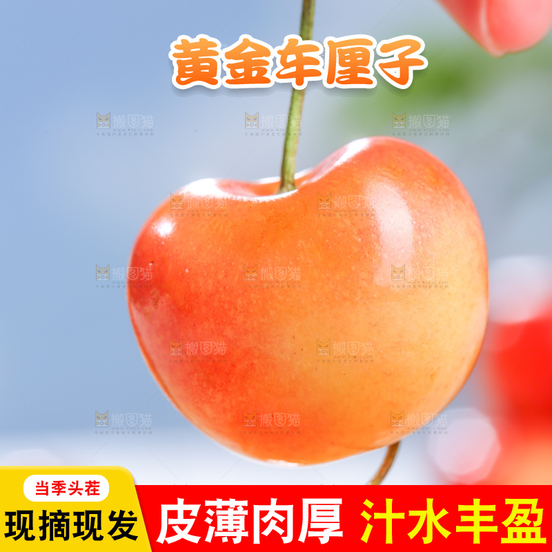 浅底上的黄金车厘子