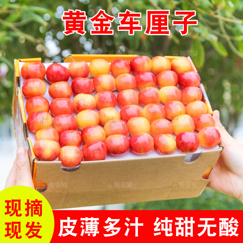 手里拿着黄金车厘子